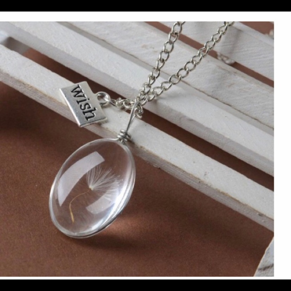 NWT Wish necklace